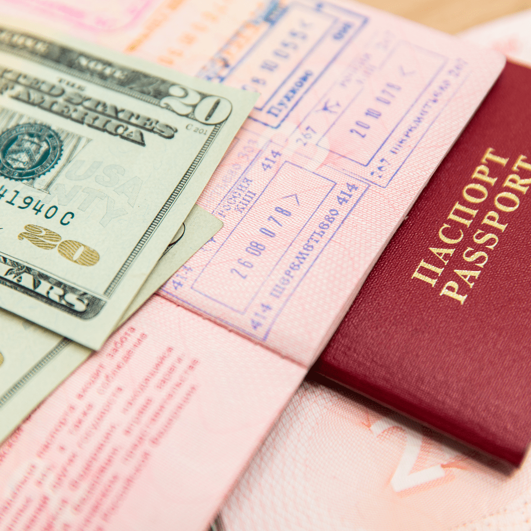 Visa integrity fee